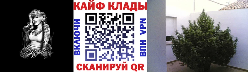 Где купить наркоту Исилькуль Cocaine  АМФЕТАМИН  Галлюциногенные грибы  Канабис  ГАШ  Alpha PVP 