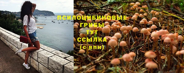 экстази Бородино