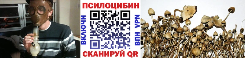 Псилоцибиновые грибы мухоморы  дарнет шоп  гидра сайт  Исилькуль 