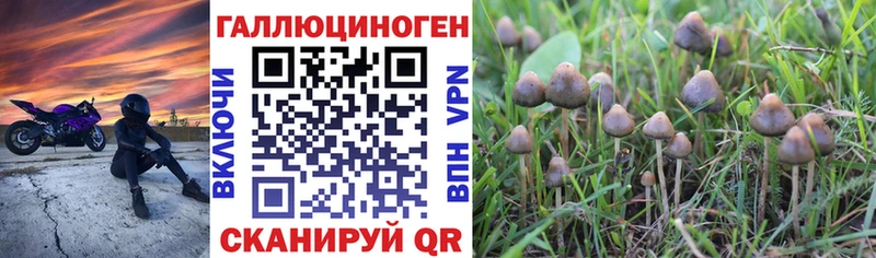 Галлюциногенные грибы MAGIC MUSHROOMS Исилькуль